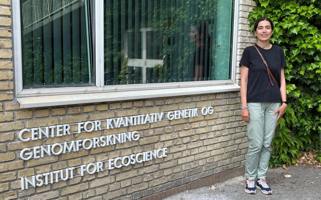 Online Danish lessons help Tahereh in a busy everyday life