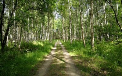 Day hike on Amarminoen (DR byen to Dragør)